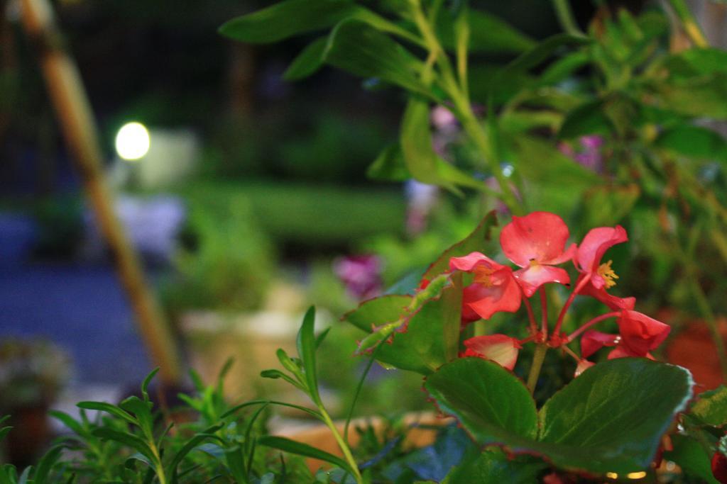 Yamadaya Ryokan Hitachiota 외부 사진