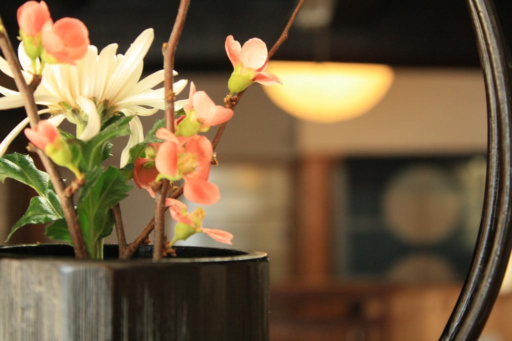 Yamadaya Ryokan Hitachiota 외부 사진